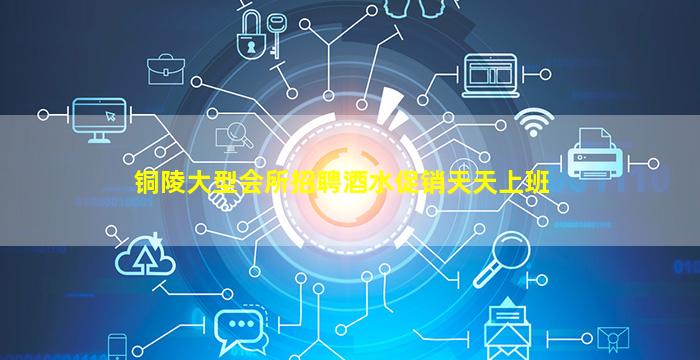 铜陵大型会所招聘酒水促销天天上班